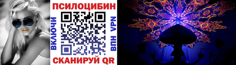 Псилоцибиновые грибы прущие грибы даркнет сайт Дзержинск